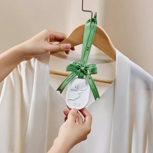 【超值2个装】宋朝 暗香疏影硅藻土香挂 扩香香薰石膏挂件 衣柜香薰车载香挂 湖畔幽莲+满陇桂雨