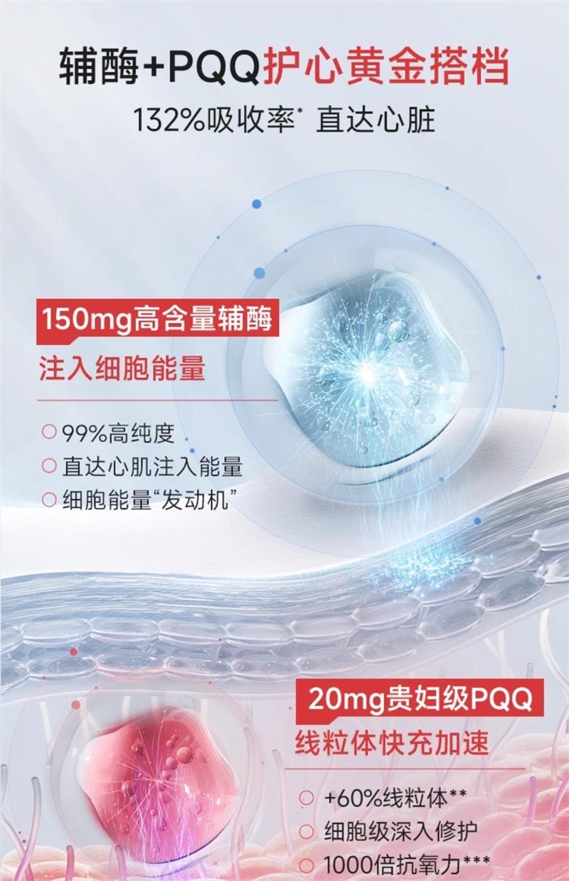 【中国直邮】 WONDERLAB 辅酶Q10保护心脏血管PQQ熬夜保健品软胶囊 60粒/瓶