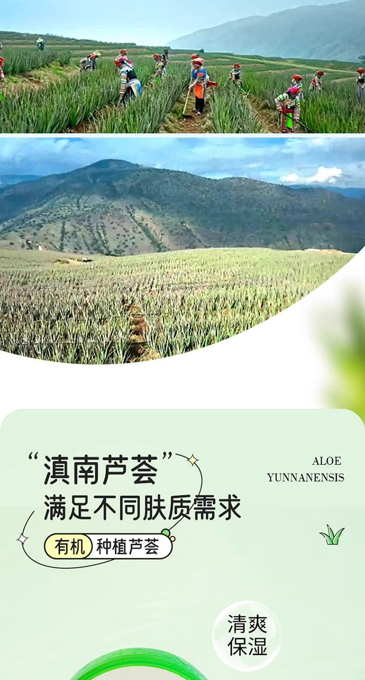 【中国直邮】 卓辰 芦荟胶保湿补水军训晒后修复修护面霜乳液女男士专用 300g 一罐装