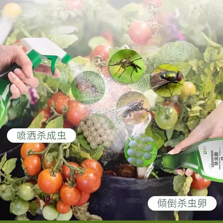 [중국 직배송] 자오지에 채소용 살충제, 진딧물 및 채소 해충 구제제, 무독성, 정원용 살충제, 개미 구제제, 500ml 5