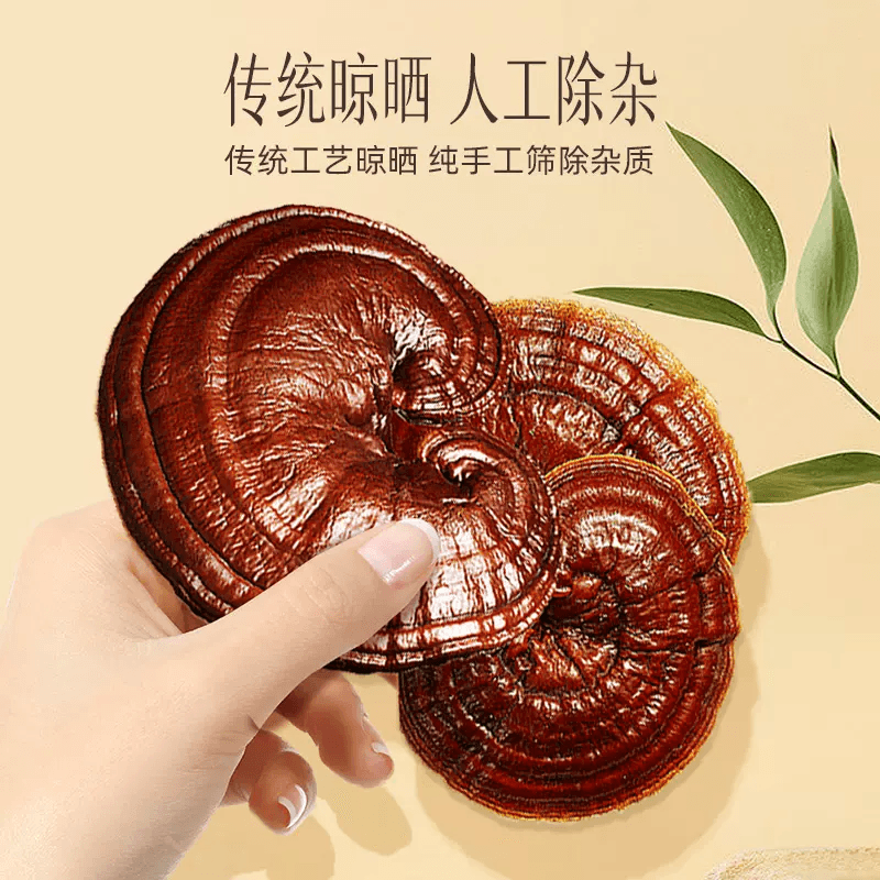 中国直送】雲南白耀霊芝粉末 120g*1本 - Yami
