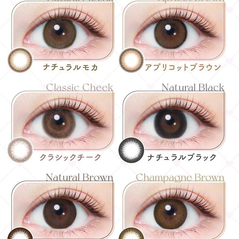 【日本美瞳/日本直郵】新木優子evercolor 1day Natural 日拋美瞳Pearl Snow Gray 珠光灰「灰色系」20片裝預定3-5天度數-2.25(225) DIA:14.5mm | BC:8.7 mm