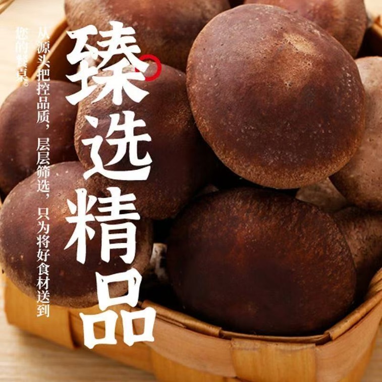 [중국 직배송] 북동부 특산 건버섯 100g*1봉, 엄선된 굵은 살의 뿌리 없는 표고버섯 3