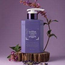 韩国TEABLESS茶柏蕾诗 香氛沐浴露 持久留香温和清洁保湿 鼠尾草琥珀紫茶香型 500g