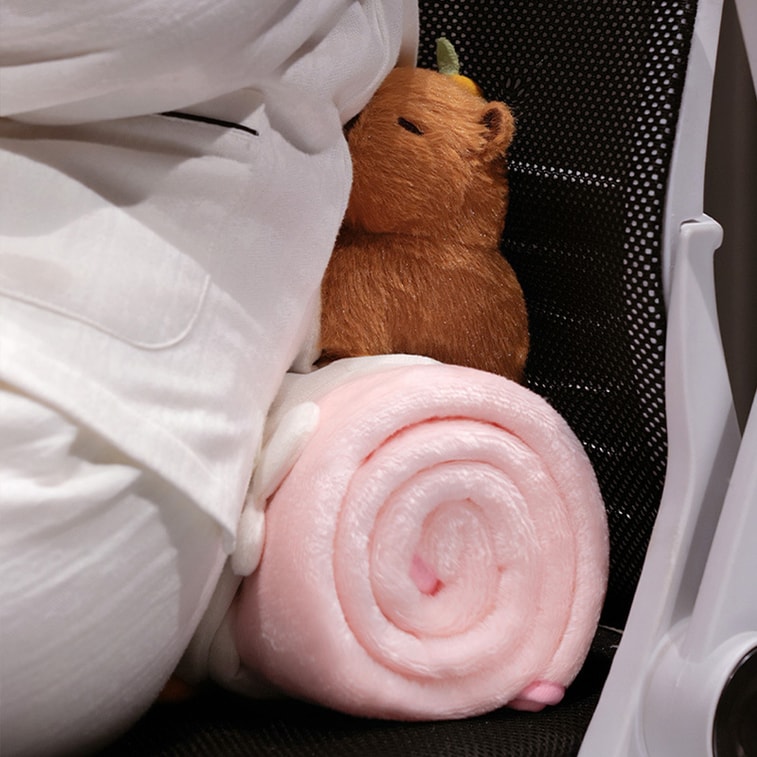 【中国直邮】 HSPM 新款软萌水豚便携午睡披肩毛绒毯子 豚骑蜜蜂 25CM+小毯80*100cm 3