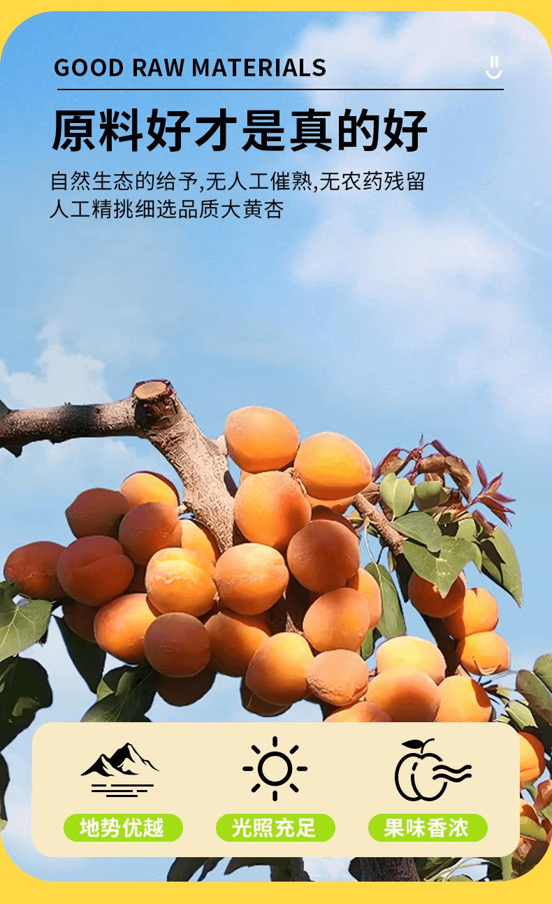 【中國直郵】 馬小養 無核倒蒸原果乾酸甜杏桃蜜餞零食農家酸杏乾條108g*1袋