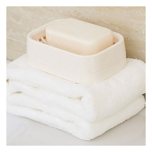 Dual Layer Plastic Soap Dish Holder