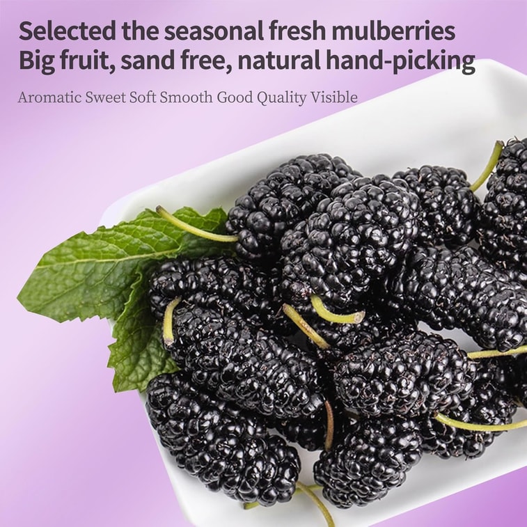【Expédition directe du Canada】 Sivantha Mûre Noire 4,23 oz (120g) Thé aux fruits Mûres séchées au soleil Chaque bouchée est pleine d'anthocyanes, une douceur sans fard, un thé aux fruits sain et délicieux 4