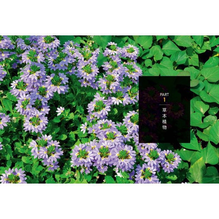 繁體 愛花人集合 300種最新花卉栽培與應用 亚米