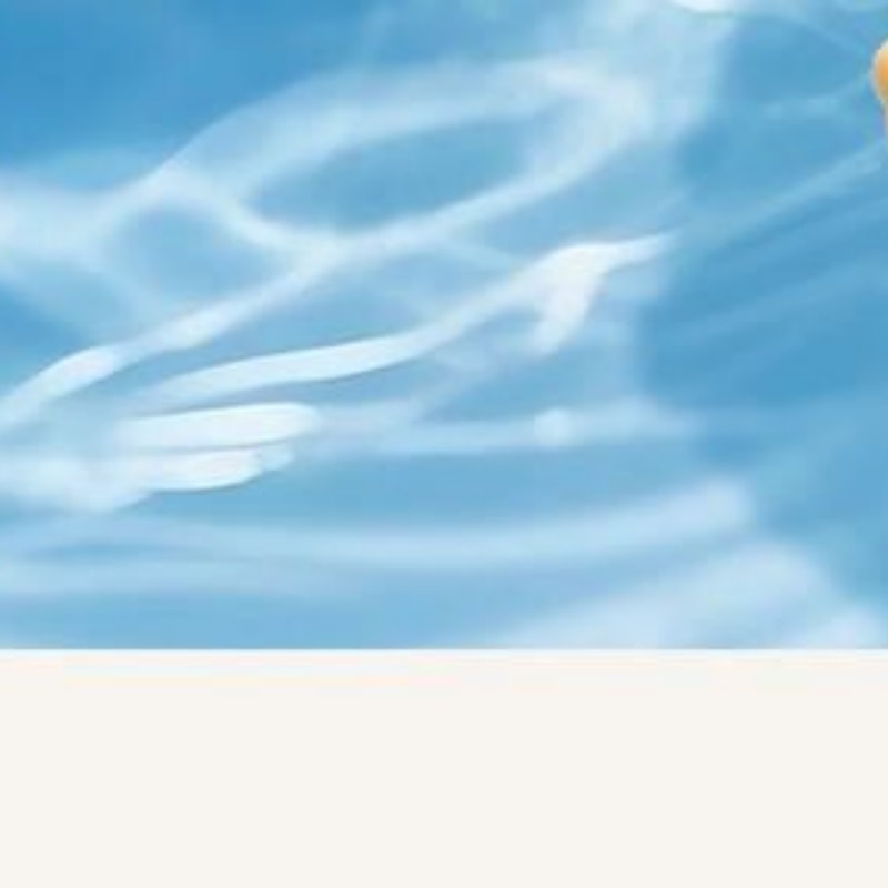 【中國直郵】 日本 LINE FRIENDS 布朗熊車載防滑墊 創意汽車擺飾 單裝 大號裝