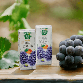 Okayama Pione Grape Flavor Fruit and Vegetable Juice 6.59 fl oz