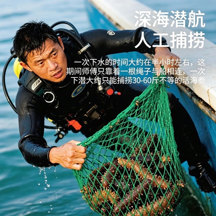 优米甄选 【正宗正品】有机冻干海参 非养殖 高蛋白 大连刺参 孕妇营养品必备 非即食 送礼必备干货 5