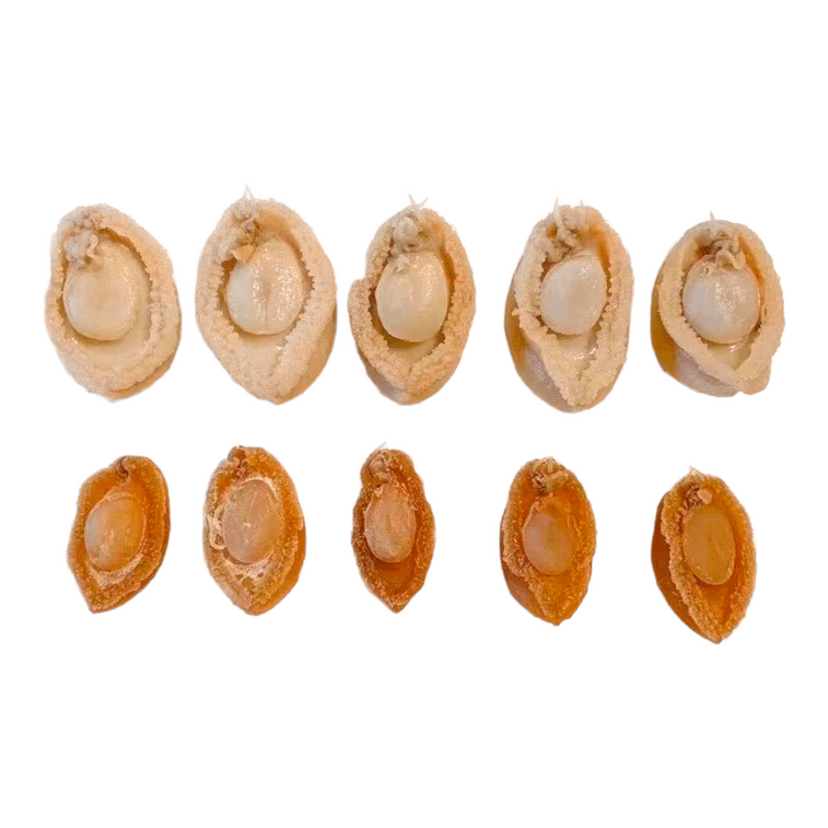 구룡통 야생 남미 미니 전복 450g 1파운드 70-80개 신선하고 달콤한 건조 전복을 수프에 끓였습니다. 4