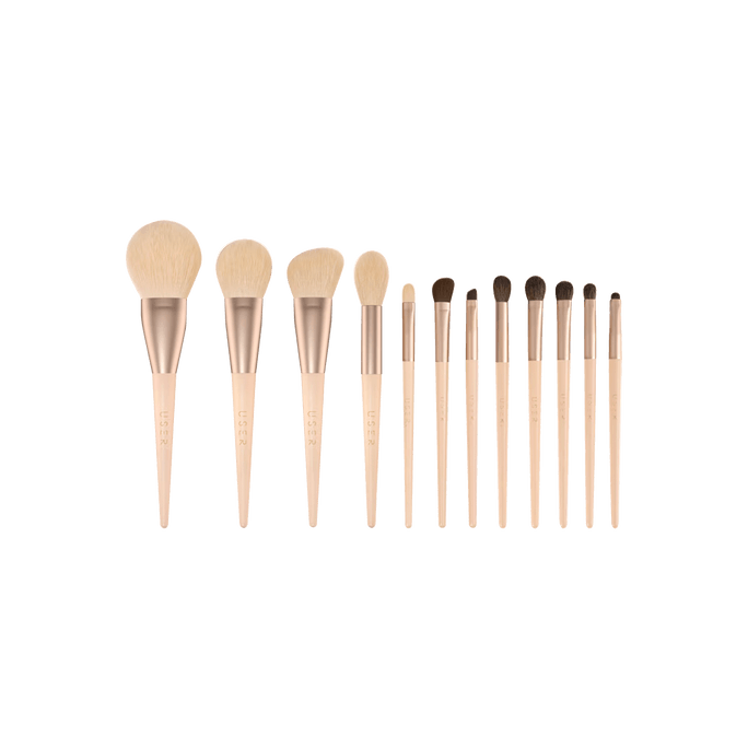 Morandi Makeup Brush Set of 12 Brushes 