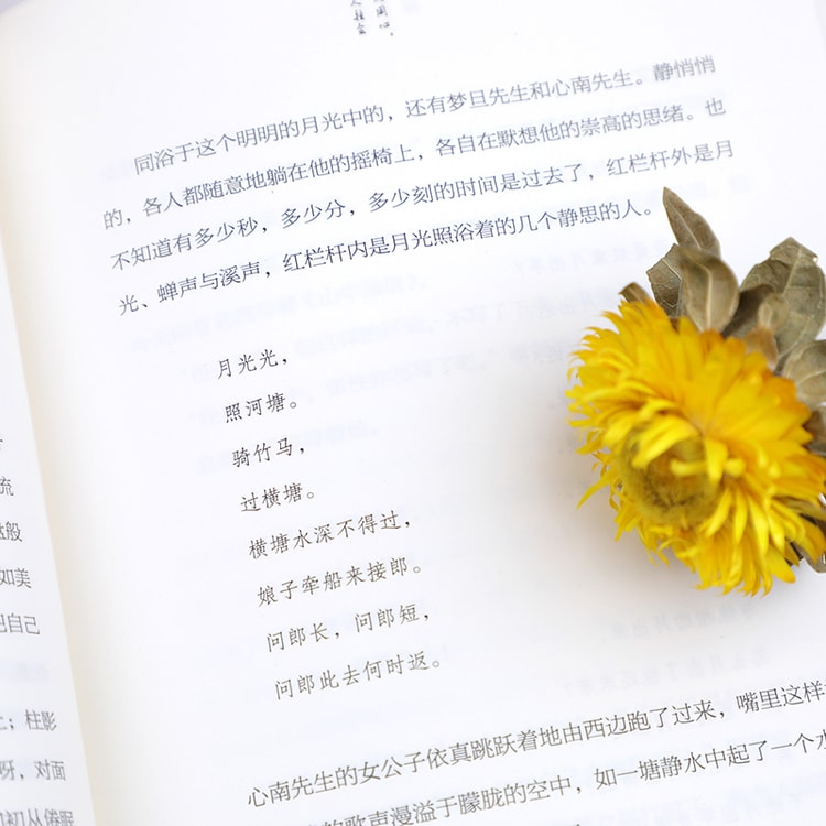 中國直郵】I READING愛閱讀我從未如此眷戀人間- Yami
