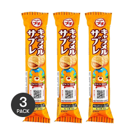 日本BOURBON波路夢 PETIT 迷你焦糖莎布蕾曲奇 46g *3【3份超值裝】