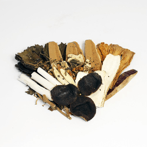 Fatigue Fighter / Replenish Qi, Prevent Disease Reishi Tea 1Pack