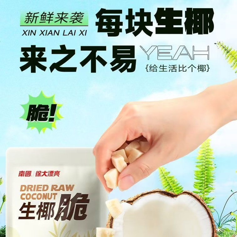 海南島名物のカリカリココナッツジャーキー（50g×2袋）。このローストココナッツは、[ココナッツオートミールカップ]、[ココナッツクリスピーラテ]、[ココナッツココアケーキ]などのレシピにご利用いただけます。 4