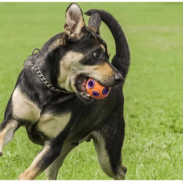 [中国から直送] ヒッピードッグ プラムブロッサム 犬用おもちゃボール 耐久性 歯が生え始める時期のトレーニング用ペットおもちゃ ベル付き 大型アネモネボール オレンジ 8×8cm×1個 3