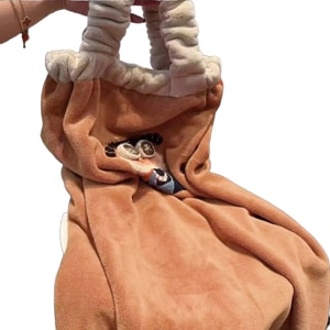 【中国直送】HSPM 新登場 リトルリッチウーマンタオル 幸運を呼ぶ お金の刺繍入りコーラルフリース 柔らかく肌に優しいバスタオル (オレンジ) (ワンサイズ)