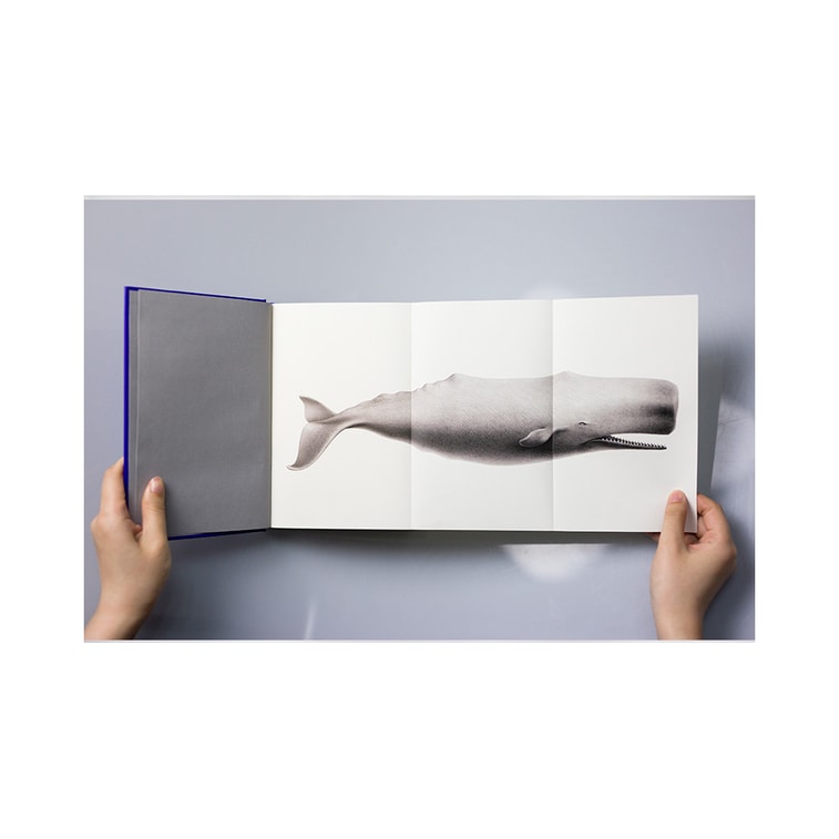 文学名家名著:白鲸(套装共2册)【作家榜出品】 7