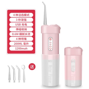 Electric oral irrigator portable handheld device 1 bunch