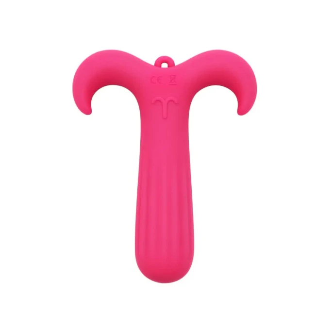 Aries Mini Vibe Hot Pink 10 Vibration Modes