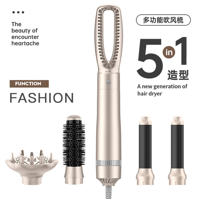 110V 5-in-1 Hot Air Comb – 1200W Straight & Curly Hair Multi-Functional Styling Hair Dryer, Interchangeable Heads For Hair Care, Champagne – 1 Set