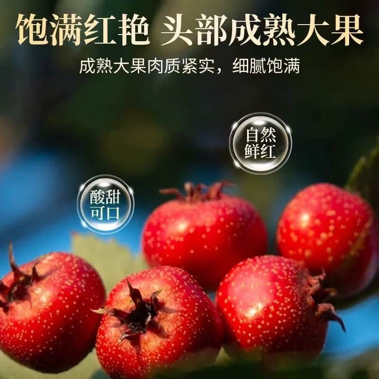 北京同仁堂 山楂干 150g【健脾胃 促消化】泡水特级干山楂片 中药材正宗无添加 无核肉厚消食解腻 降脂降压促进代谢 新老包装随机发货 8