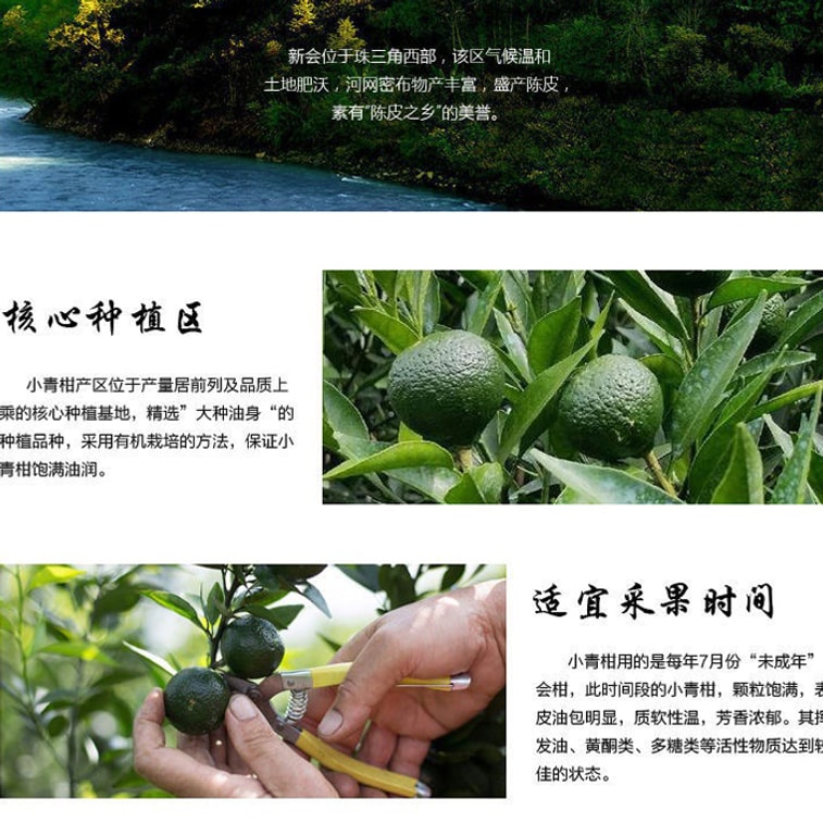 京真堂 小青柑 陳皮普洱茶 100g 熟茶葉 青橘柑 普茶 橘普茶【新會陳皮有機茶 養生茶 零糖 零添加】 5