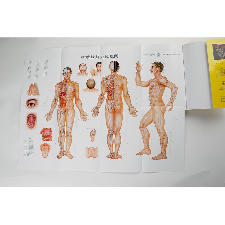 别让虚寒湿热拖垮身体 5