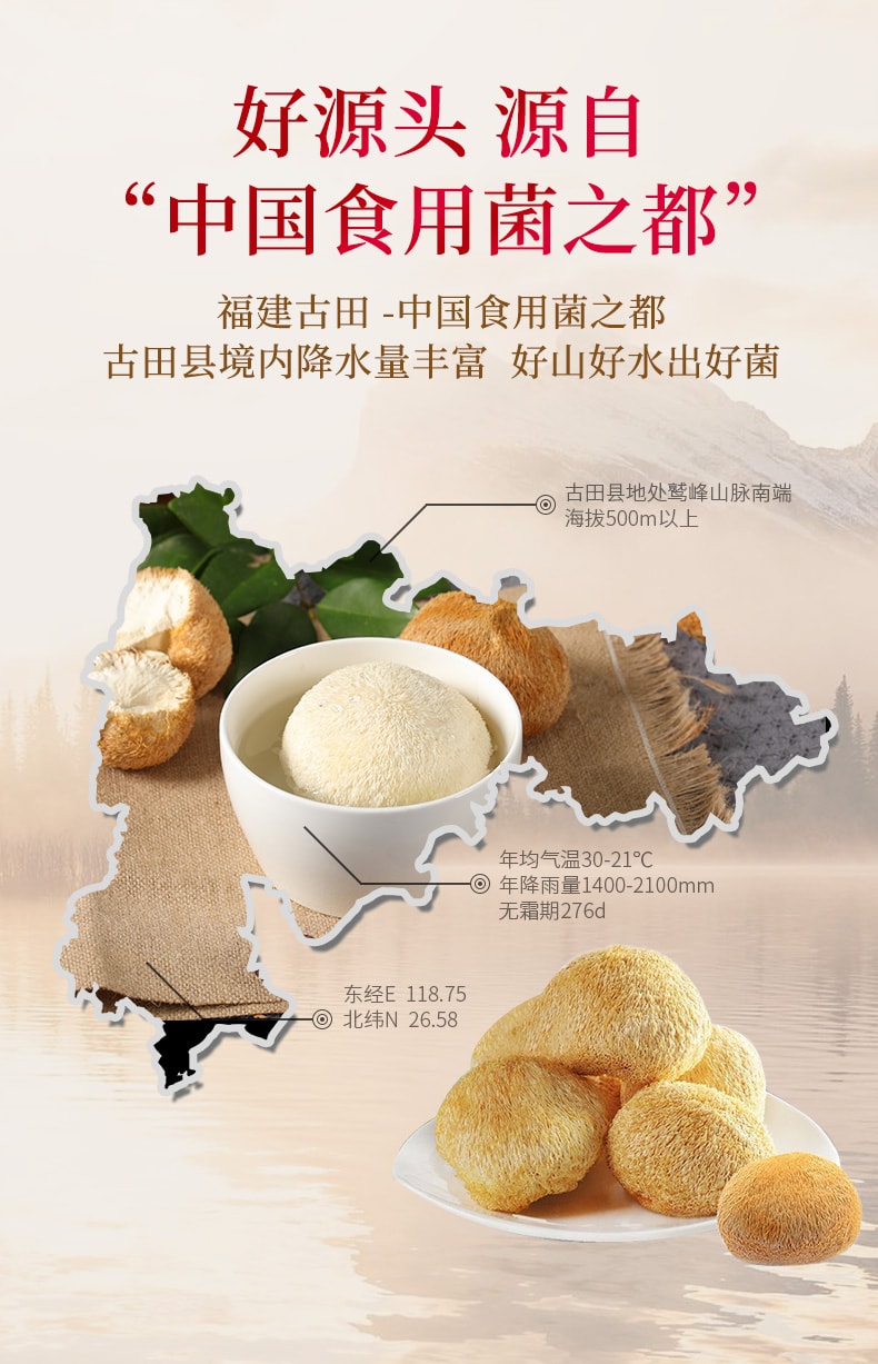 菌妍 猴头菇 鲜美滋味菌菇 滋补煲汤&红烧&蒸肉饼50g