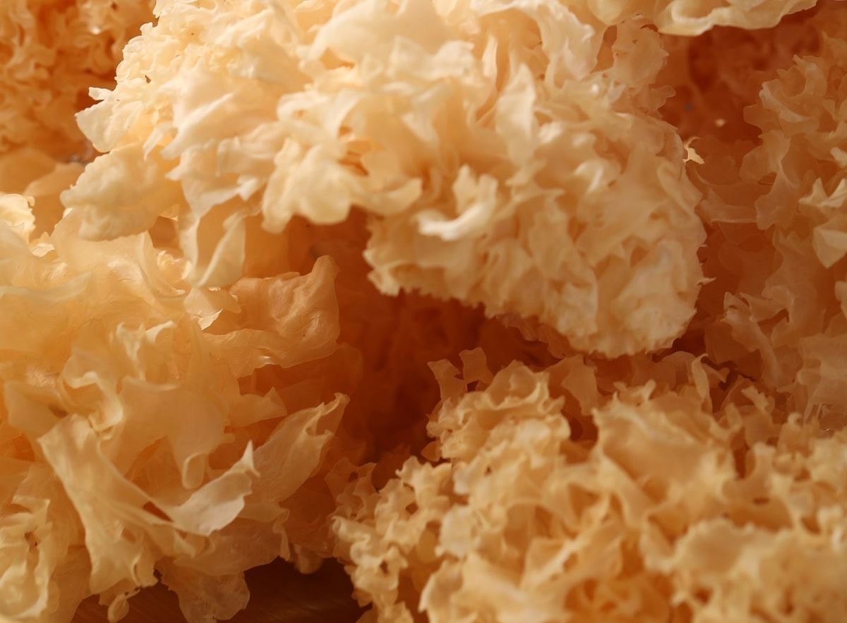 七品燕 有机银耳纯天然无添加椴木银耳干货易煮易出胶雪耳白木耳无硫耳130g