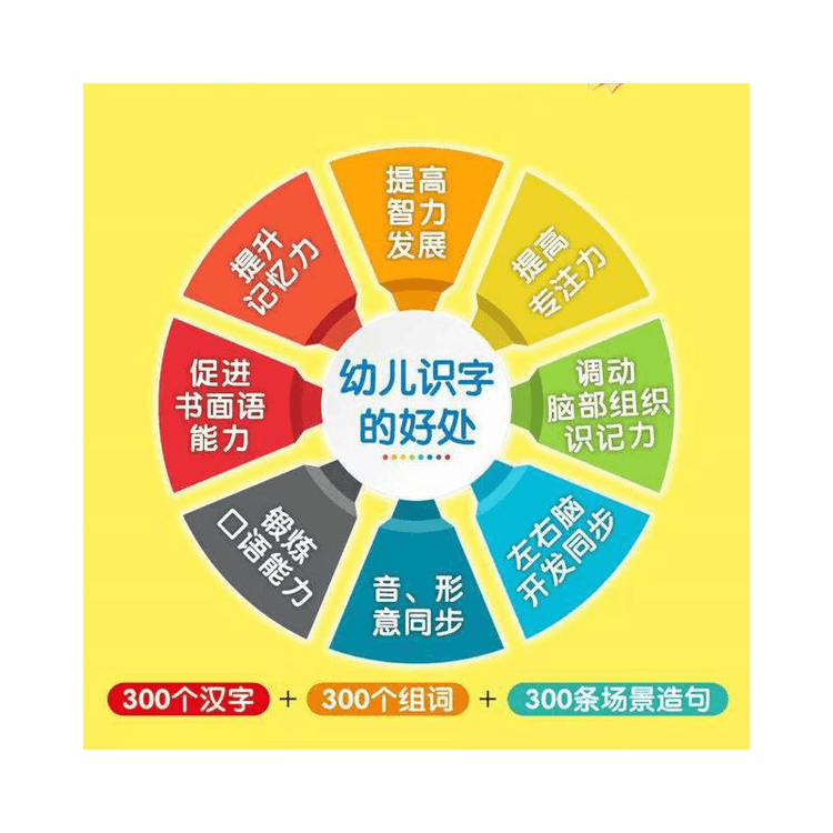 中国直邮】会说话的识字大王发声书幼儿学前识字书3-6岁儿童手指点读书