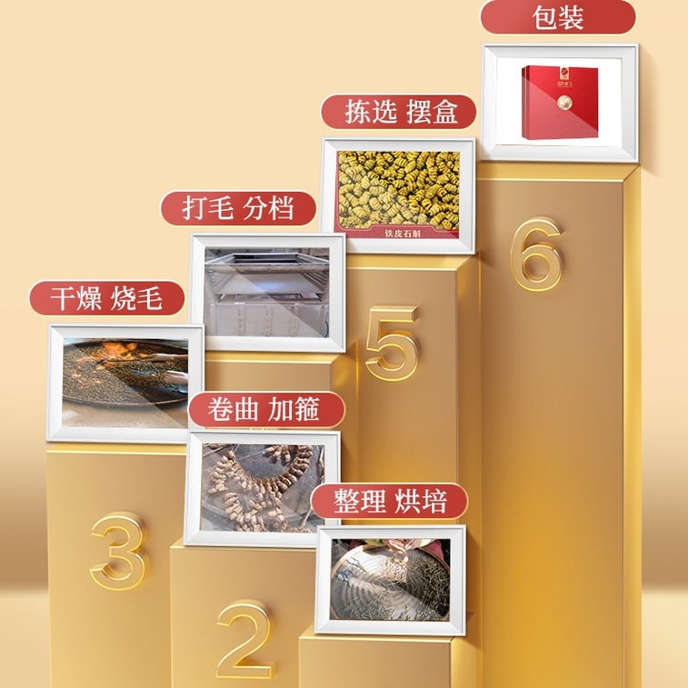 【中国直邮】 北京同仁堂 铁皮石斛100g 5