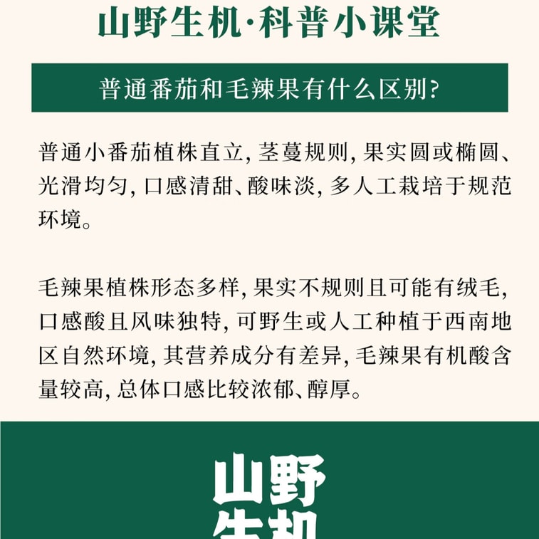 【中國直郵】 蜀風雅香 山野生機 貴州毛辣果紅酸湯 火鍋底料 0添加防腐劑 75g*4 10