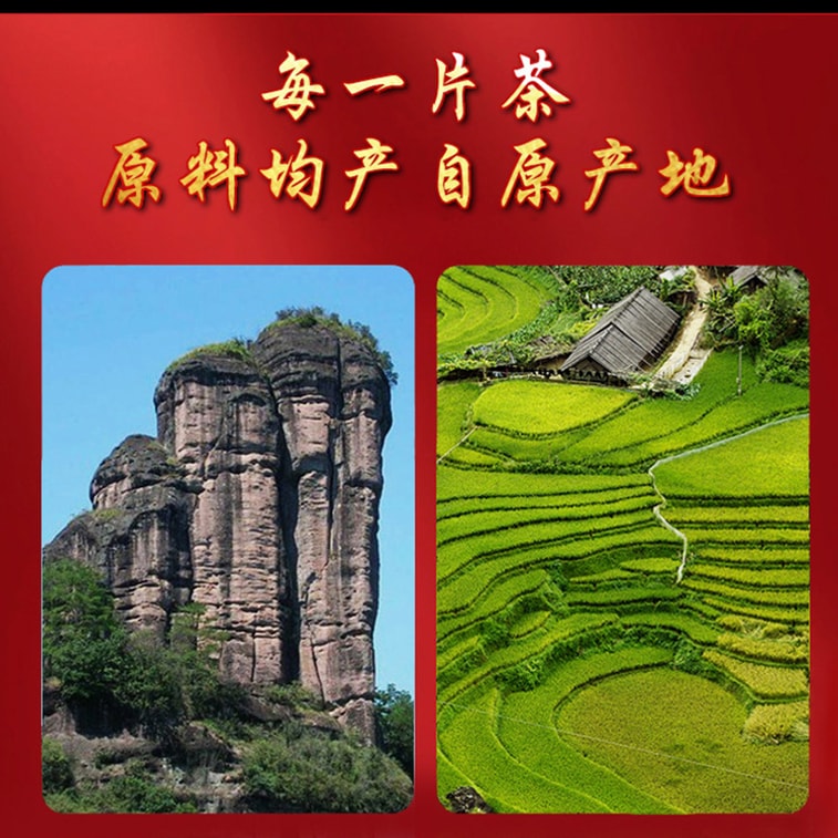 Premium Fuding White Tea Cake 45g (2016 Gold Medal) - Aged Shou Mei from Core Region, Artisan Pressed Blocks, Amber Liquor 4