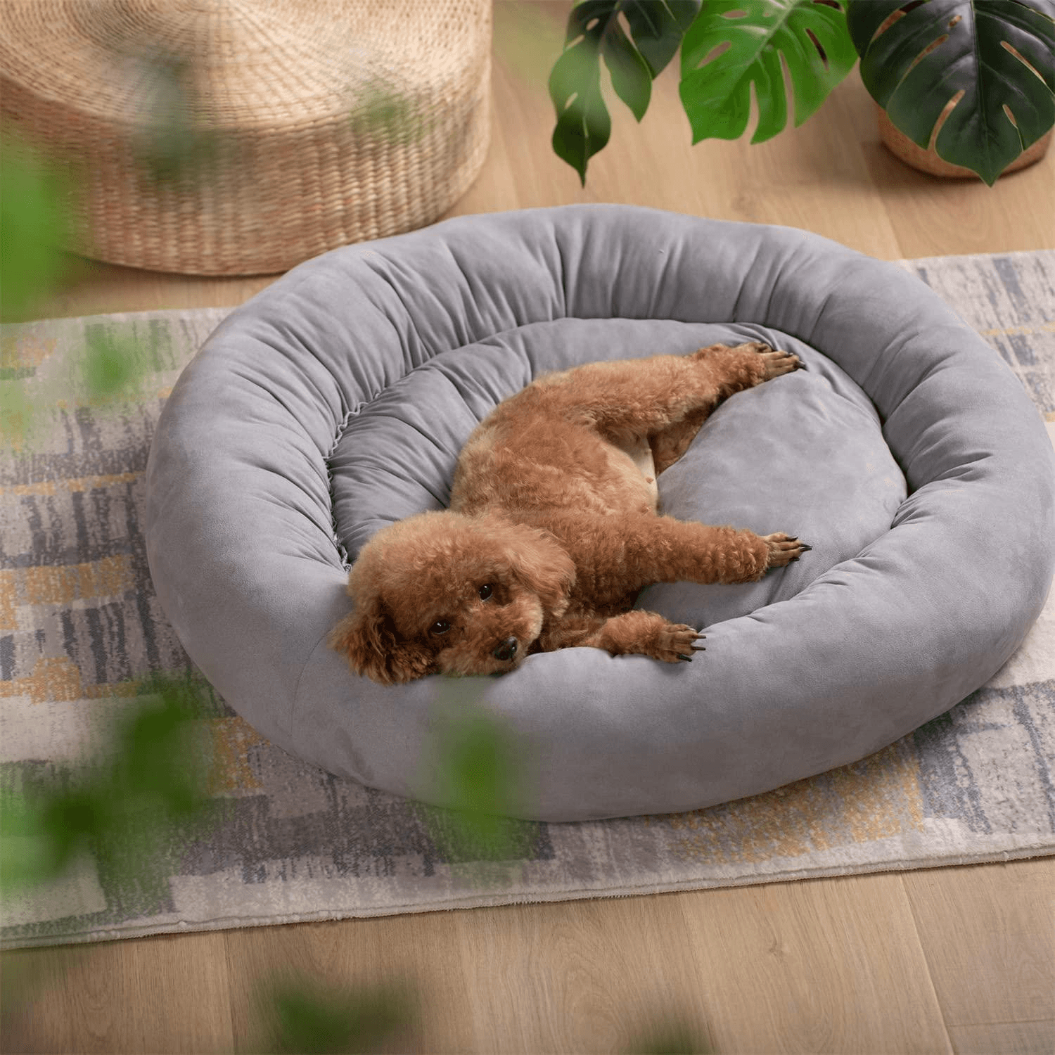 アメリカ Kexinda ドーナツデザイン丸型犬用ベッド、滑り止め、洗濯機
