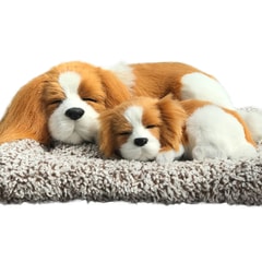 charlie sleep