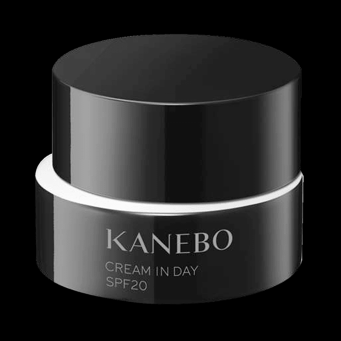 KANEBO IHOPE Lissage Men's Day Cream SPF20 PA +++ 40g