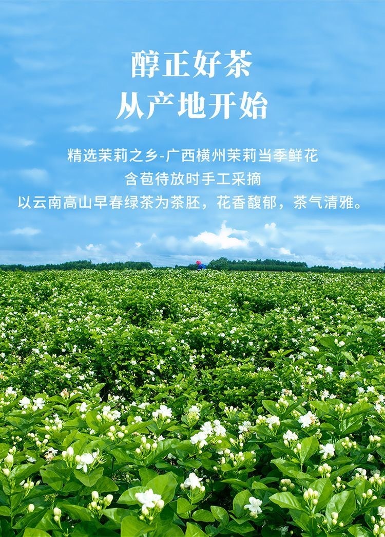 【中国直邮】 八马 茉莉花茶60g