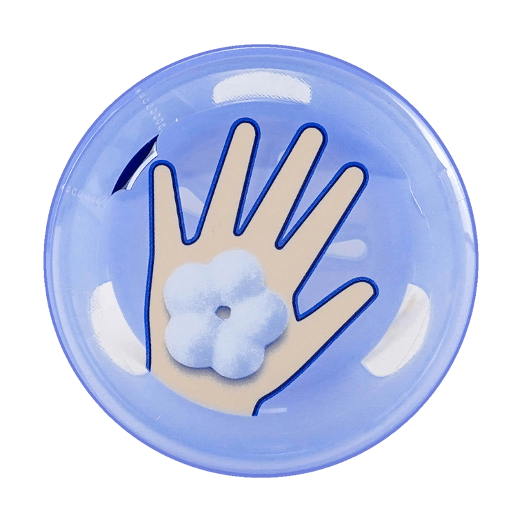 Kao BIORE Foam Flower Stamp Hand Soap 8.45fl.oz Yami