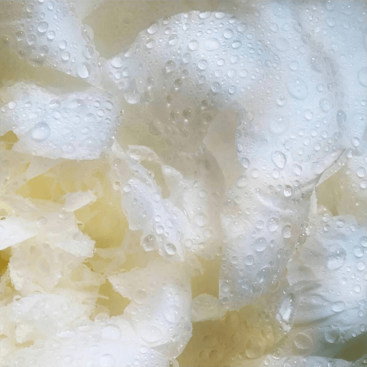 PRODIGY CELLGLOW The Rich Dewy Essence, 6.7 fl oz 3