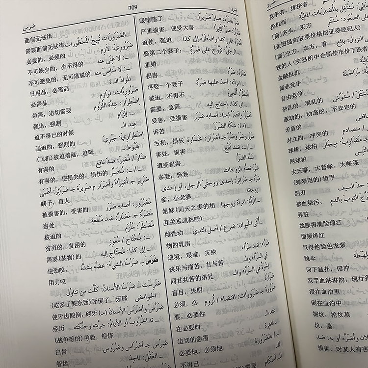 中国直邮】I READING爱阅读阿拉伯语汉语词典(修订版) - 亚米