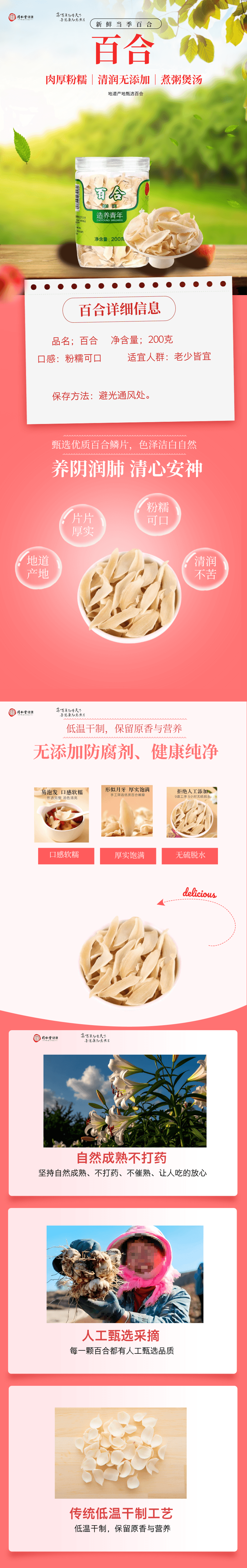  北京同仁堂 百合200克