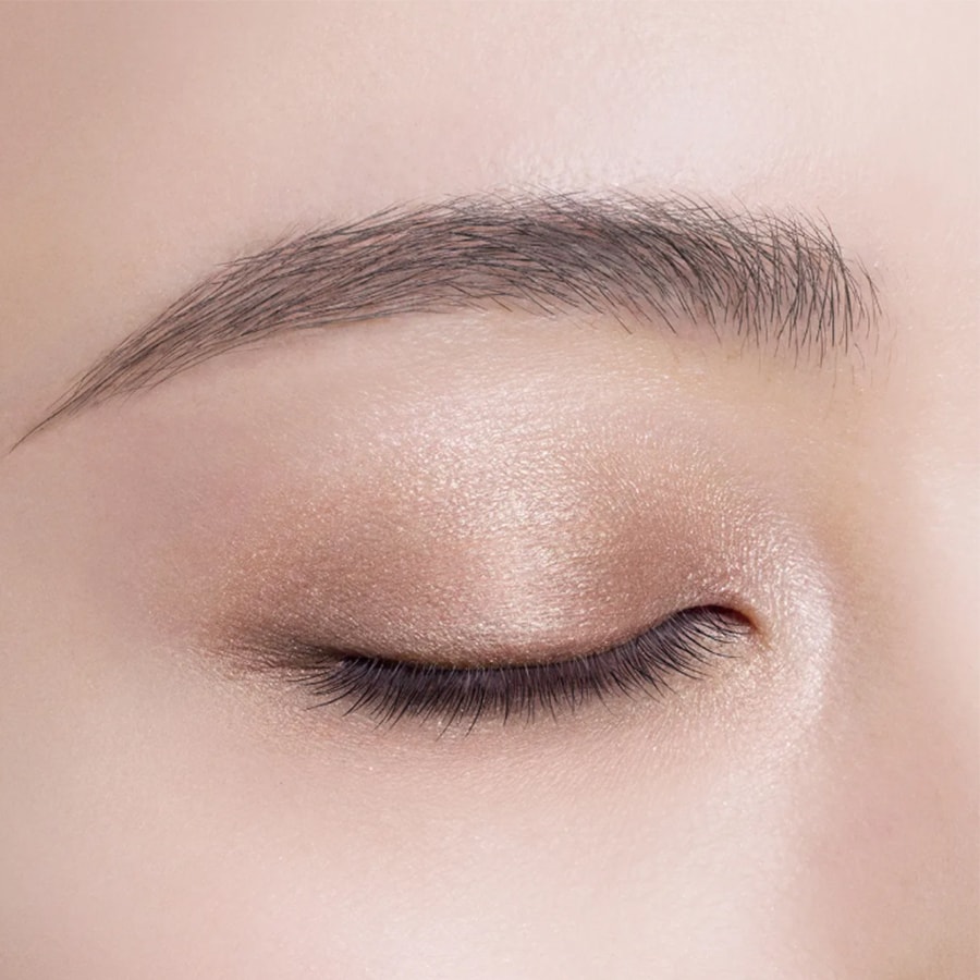 [Livraison directe du Japon] Ombre à paupières COSME DECORTE 01 Rose Brown, 5g