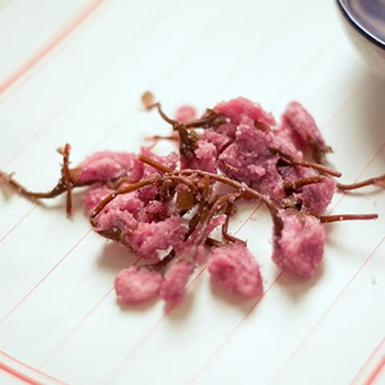 美國NestLady雍容燕窩 日本鹽漬櫻花茶 細緻補水 袋裝75g 4