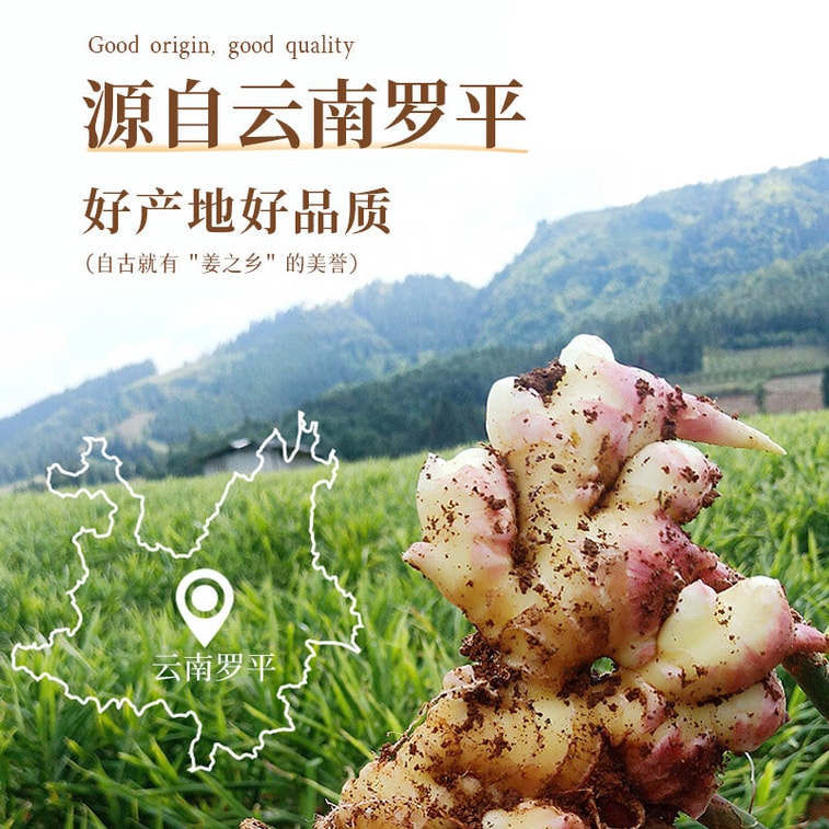 【中国直邮】 吉得利 生姜粉100g 袋装 羊杂汤鸡汤鲫鱼汤煲汤去腥提鲜调味粉料 3