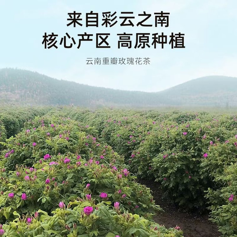  杞里香 雲南墨紅玫瑰 禮盒 頭茬飽滿 無燻無染 40g 4