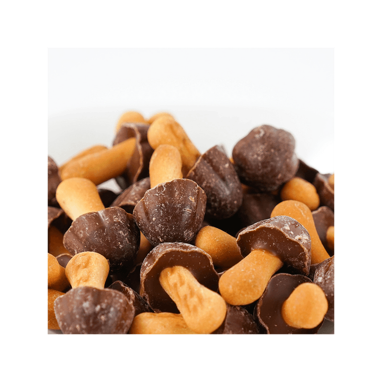 日本MEIJI明治 談話古力巧克力餅乾 74g【TWICE AESPA同款】 15